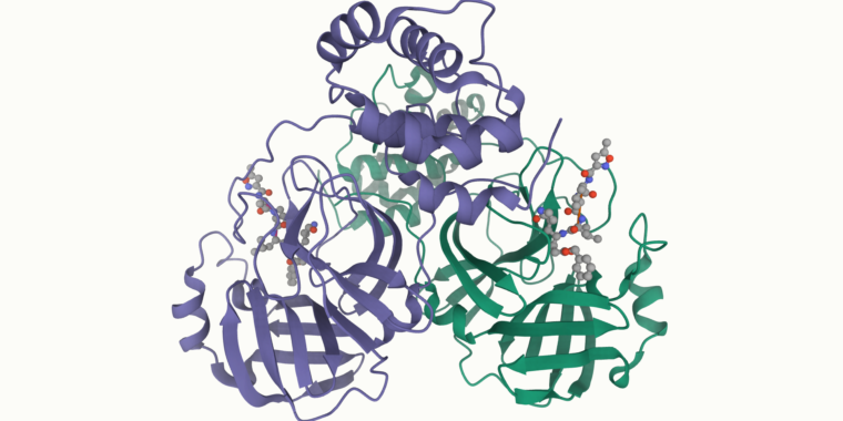 How the pandemic revived a distributed computing project and made history